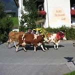 Apartament Haus Tirol *