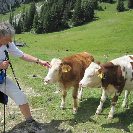 Haus Tirol * Thiersee