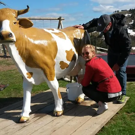 Appartement Haus Tirol Thiersee